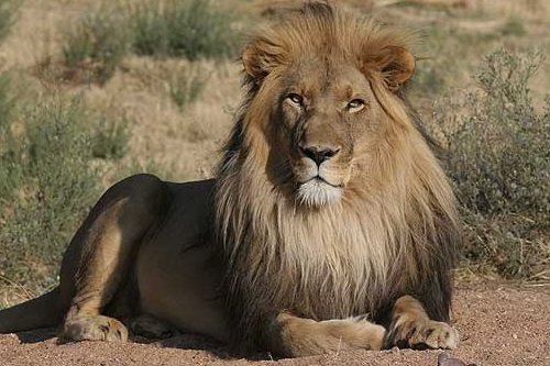 Klik op de afbeelding voor een vergroting Rondreis Namibie - De tradities van het Noorden dag 010