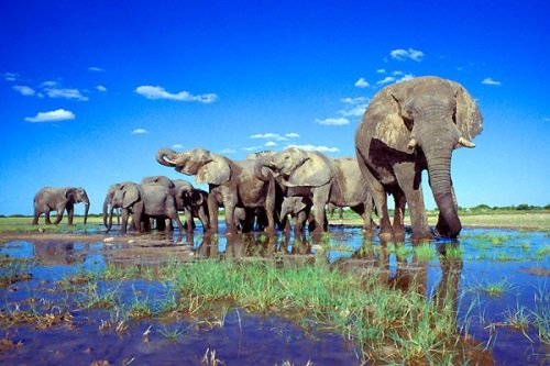 Klik op de afbeelding voor een vergroting Rondreis Namibie - Het beste van Namibie dag 014