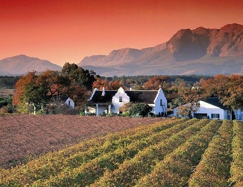 stellenbosch wine