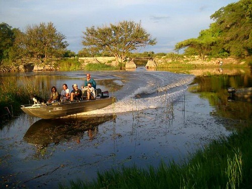 Maun