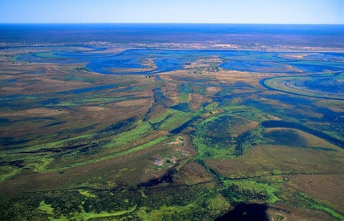 Okavango Delta 
