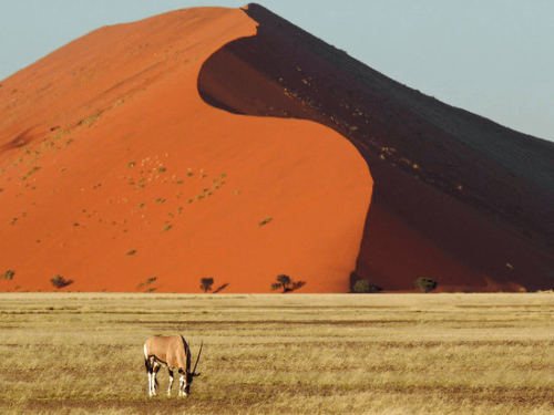 Klik op de afbeelding voor een vergroting sossusvlei rondreis