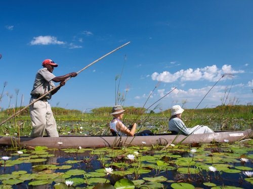 Klik op de afbeelding voor een vergroting Okavango Delta mokoro