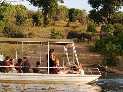 Klik op de afbeelding voor een vergroting chobe cruise