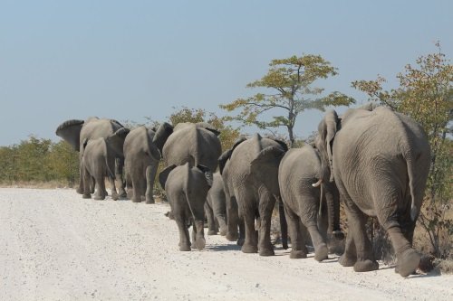 De grote ontdekkingsreis sfeerfoto zuidroute