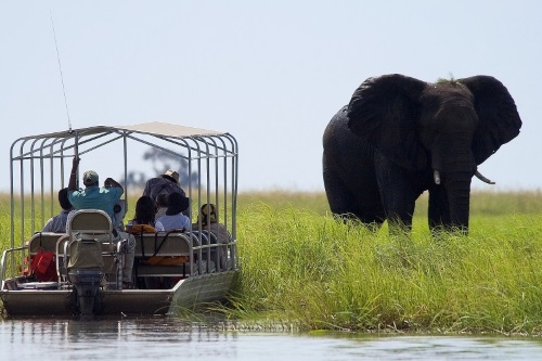 Chobe National Park | AfrikaPlus
