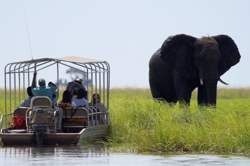 Klik op de afbeelding voor een vergroting Chobe River Cruise