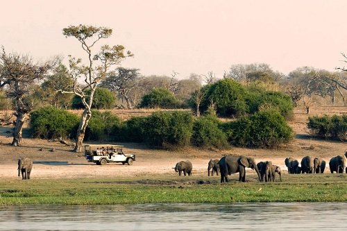 Chobe National Park 