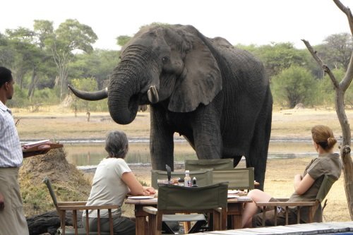 Klik op de afbeelding voor een vergroting Hwange National Park a