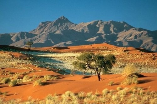 Klik op de afbeelding voor een vergroting kalahari desert 001