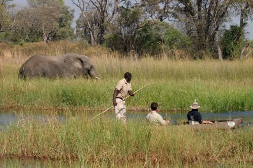 Moremi Crossing mokoro 2