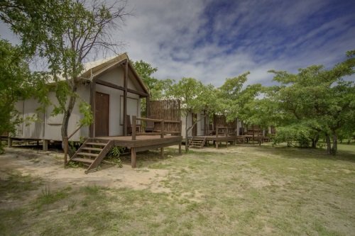 Nkambeni Safari Camp units