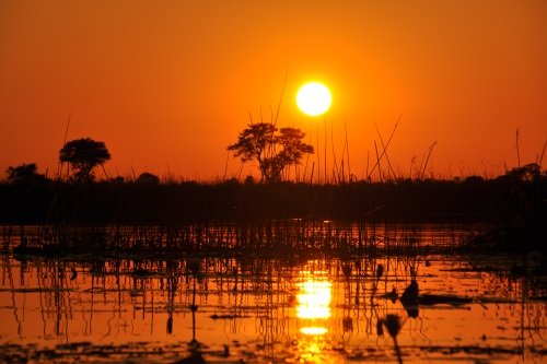 Okavango Rivier