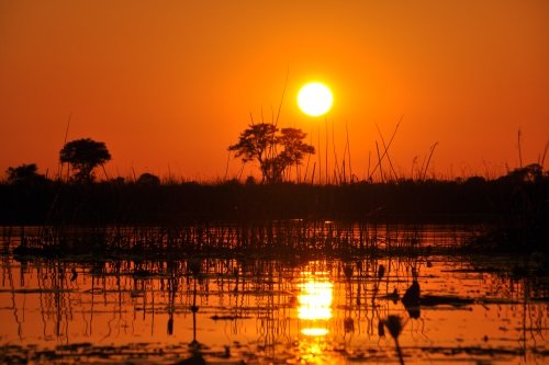 Klik op de afbeelding voor een vergroting Okavango Rivier