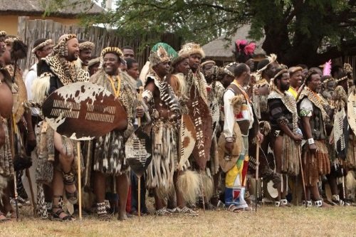 Klik op de afbeelding voor een vergroting Zululand