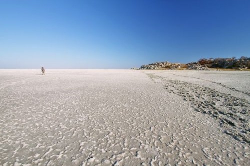Klik op de afbeelding voor een vergroting Makgadikgadi