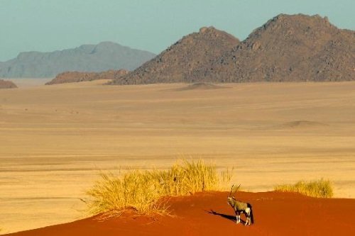 Klik op de afbeelding voor een vergroting NamibRand Nature Reserve