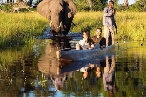 Klik op de afbeelding voor een vergroting okavango delta 001