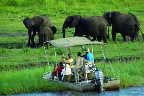Klik op de afbeelding voor een vergroting Chobe vanaf water
