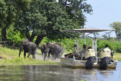 Klik op de afbeelding voor een vergroting Chobe Princesses 008