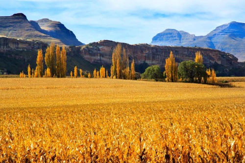 clarens