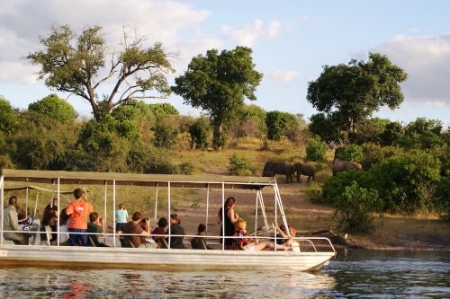 Klik op de afbeelding voor een vergroting Chobe 020