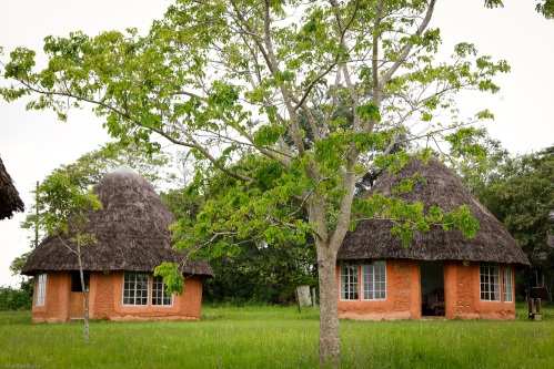 Sondzela
