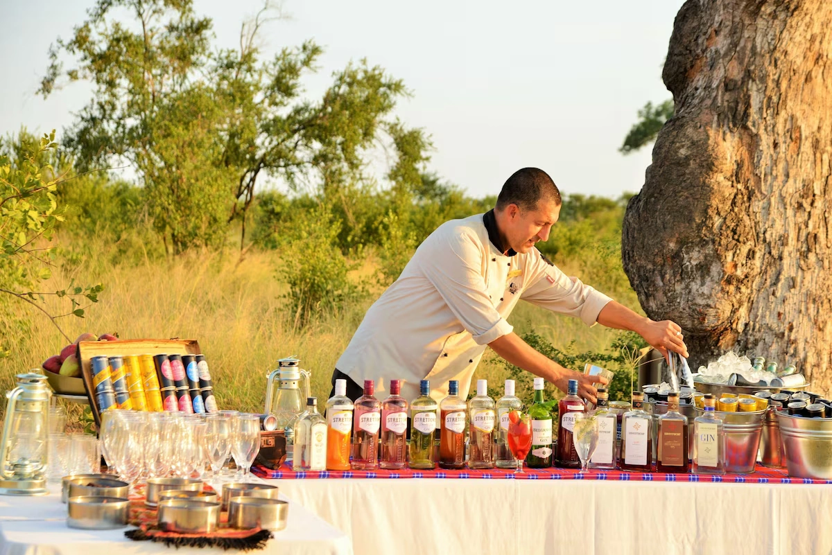 Hamiltons Tented Camp safari 001.webp
