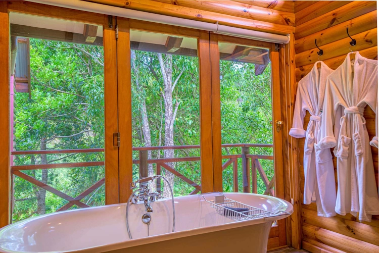 The Fernery Lodge and Spa cabin badkamer 001.webp
