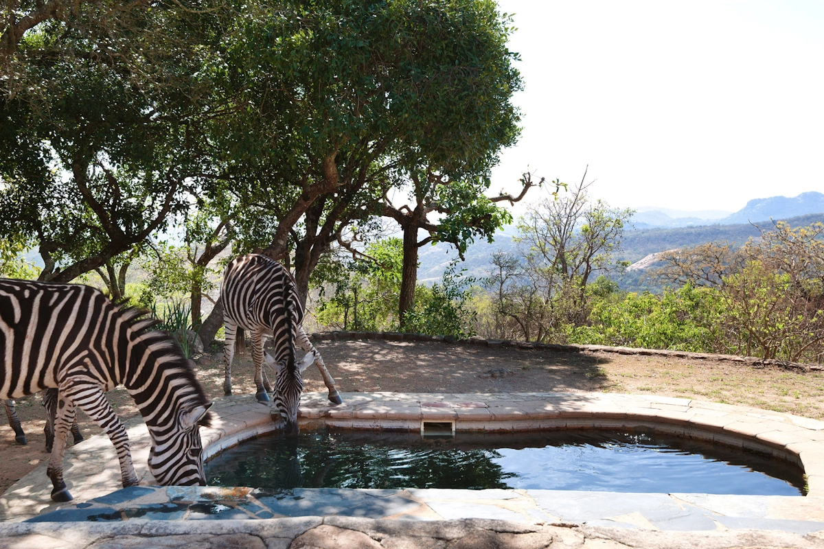 Tomjachu Bush Retreat Rock House pool 001.webp
