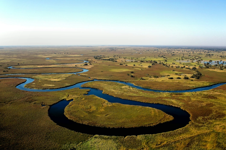 Maun Okavango Photo by Wynand Uys.webp