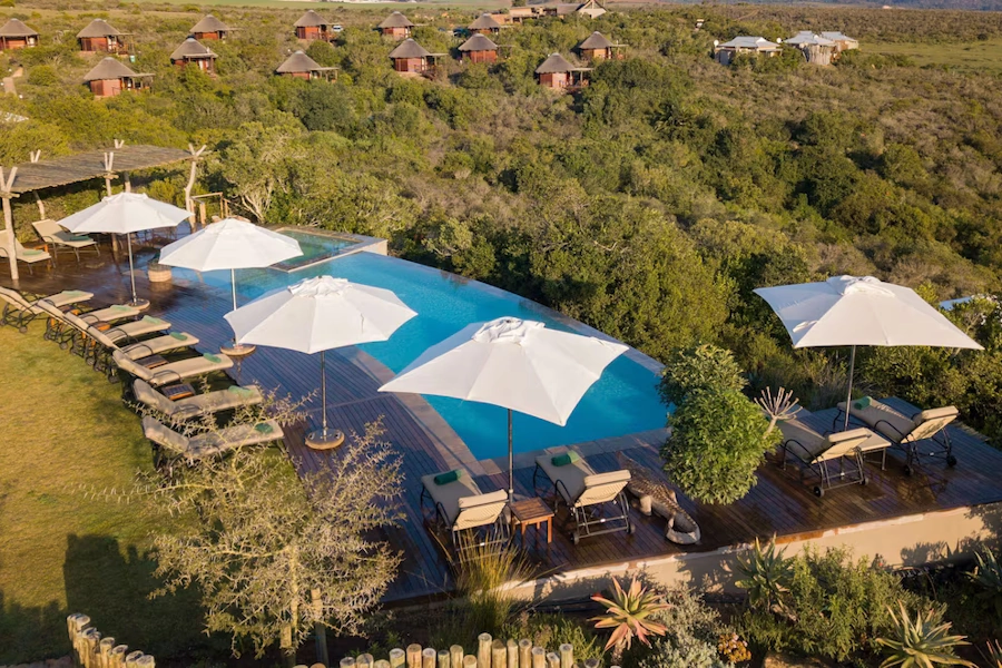 Garden Route Game Lodge zwembad met ligbedden.webp