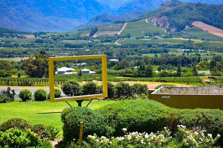 Franschhoek thanks to Jeanine S.webp