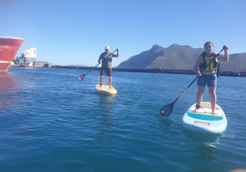 Hout Bay SUP Adventure.webp