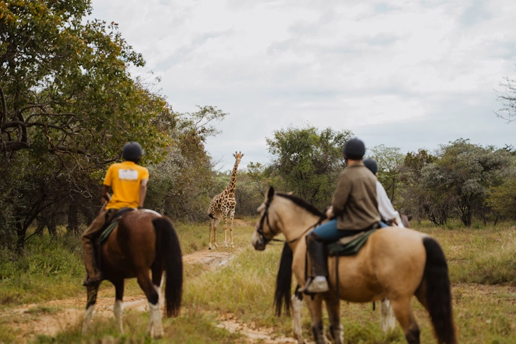 AfriCamps Waterberg excursie activiteit 002.webp