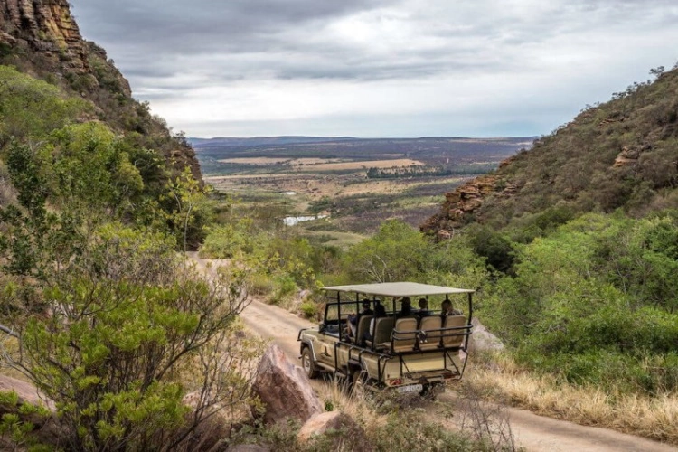 Entabeni Game Reserve op safari 001.webp