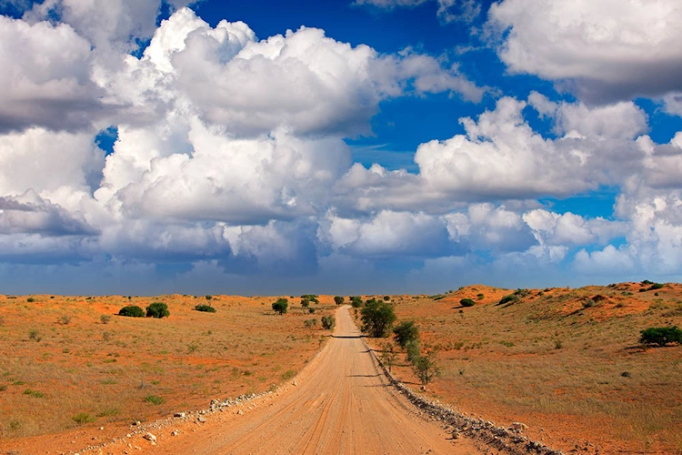 Kgalagadi Transfrontier Park klein 001.webp