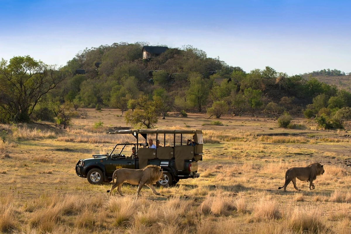 Tshukudu Bush Lodge gamedrive 001.webp