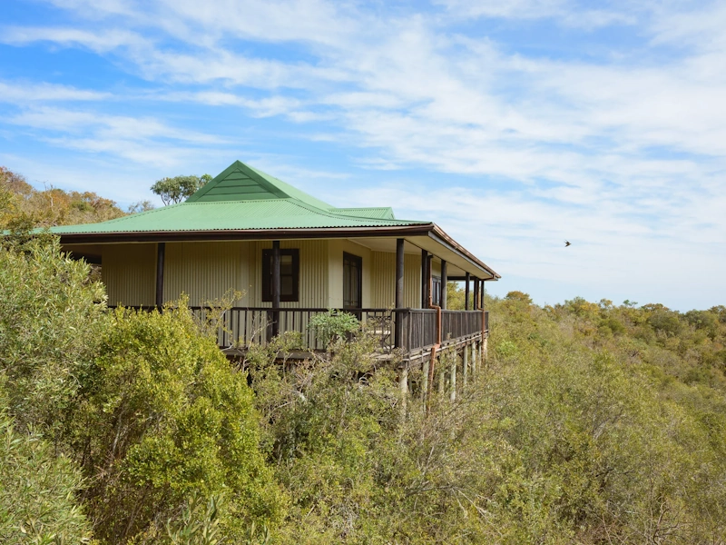 Camp Figtree Uitzicht 002.webp