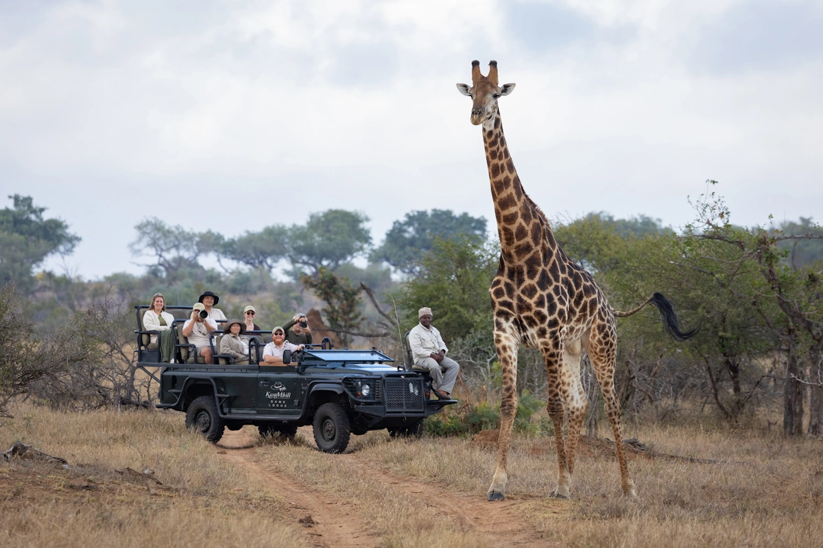 KwaMbili Game Lodge Gamedrive 001.webp