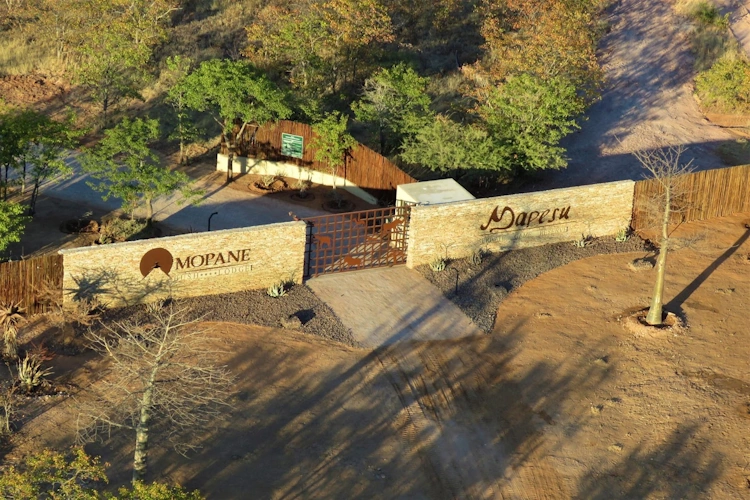 Mopane Bush Lodge aankomst 001.webp
