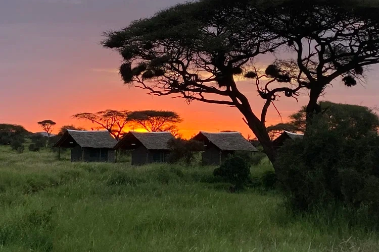 Amboseli Discovery Camp terrein.webp