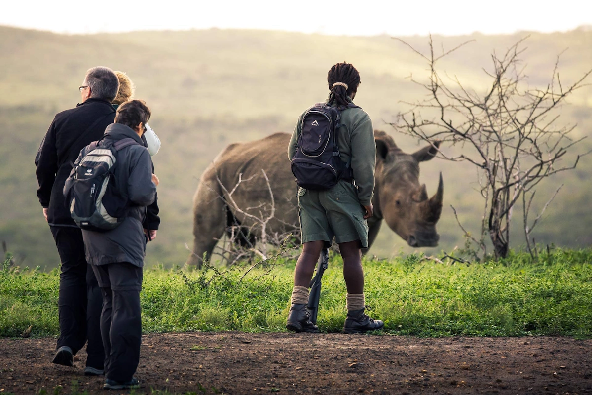 Rhino Ridge Safari Lodge wildlife 004.webp