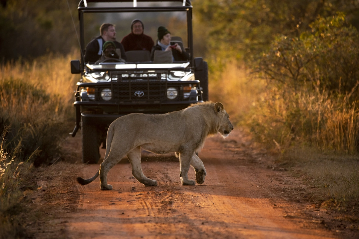 De Big Five Route van Zuid-Afrika Nungubane Game Lodge sfeerfoto 004.webp