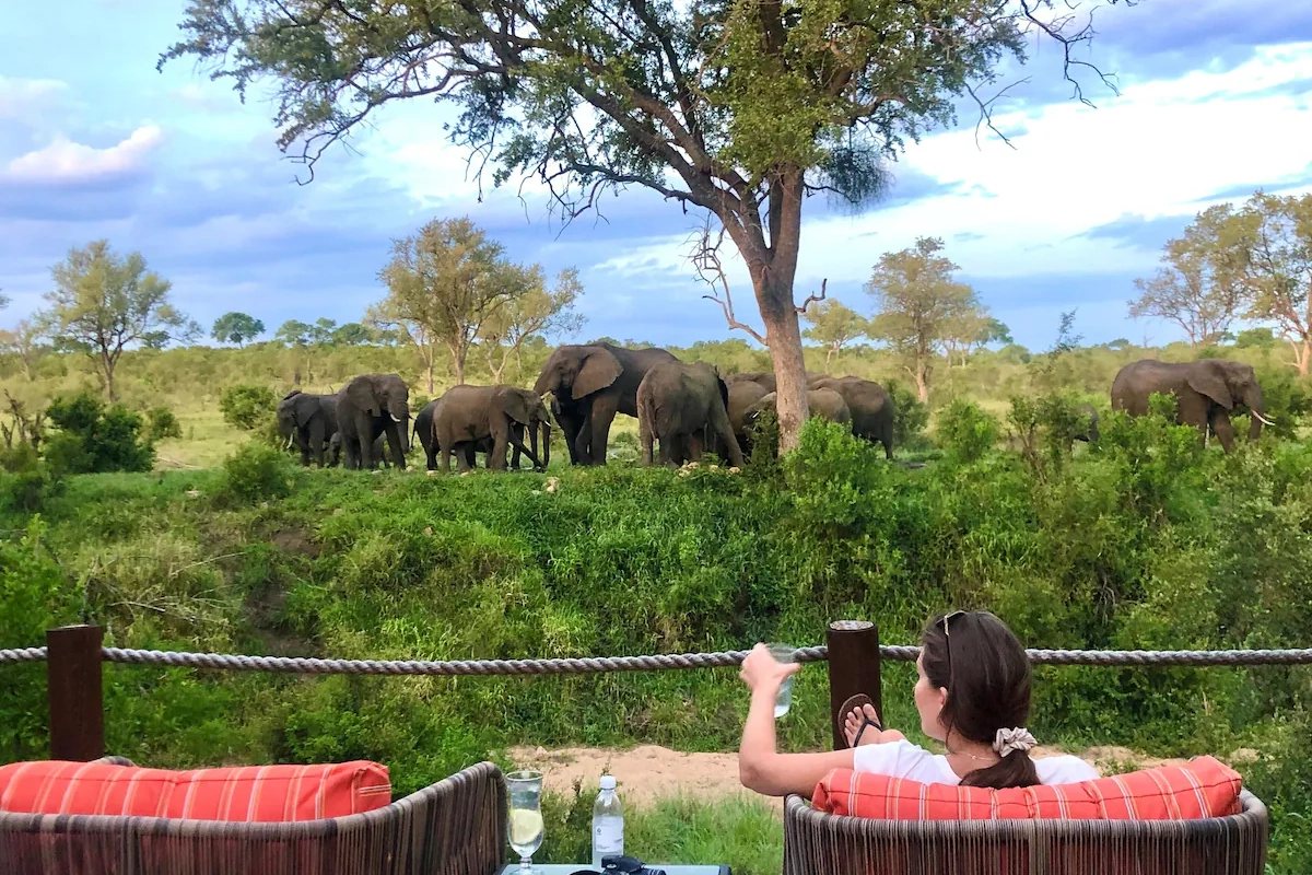 Hoyo Hoyo Safari Lodge safari 002.webp