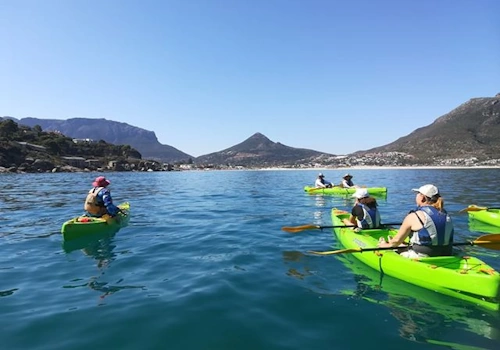 2 Hour Hout Bay Kayak Adventure.webp