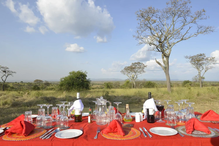 Kananga Special Tented Camp buiten eten.webp
