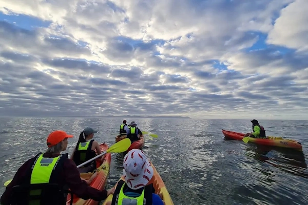 Sea Kayaking Walker Bay.webp