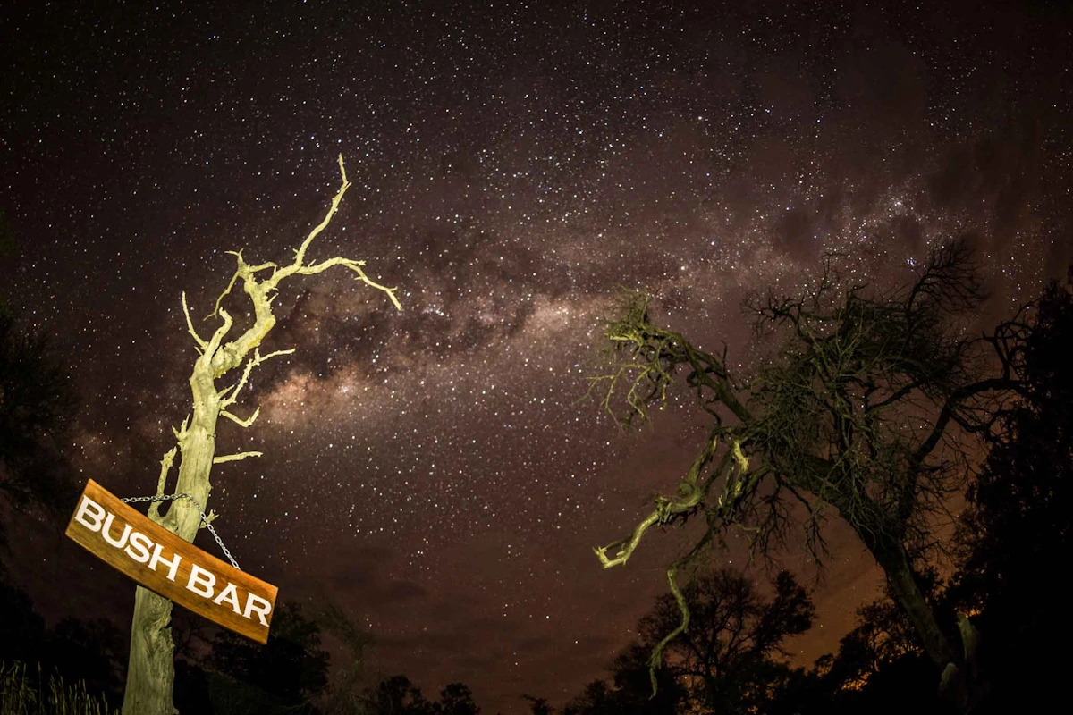 nThambo Tree Camp Bushbar 001.webp