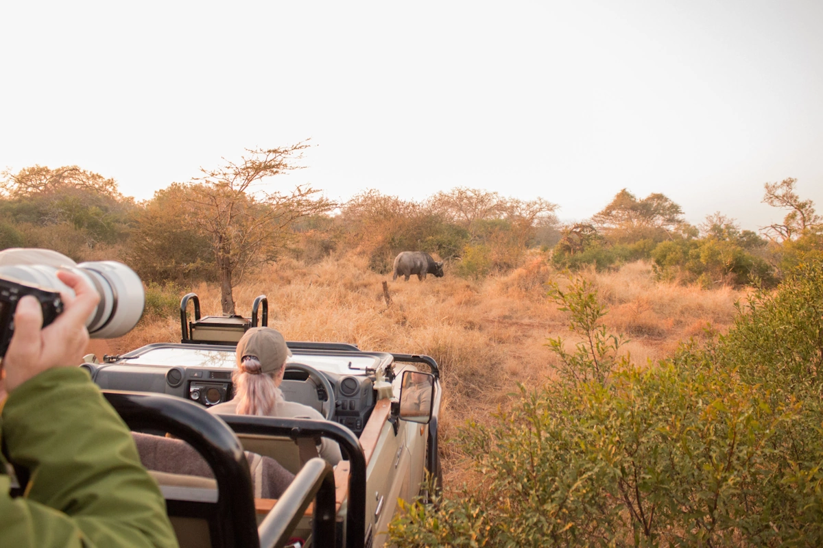 Van Kruger tot Drakensbergen GMI Safari Manyoni Game Drive.webp
